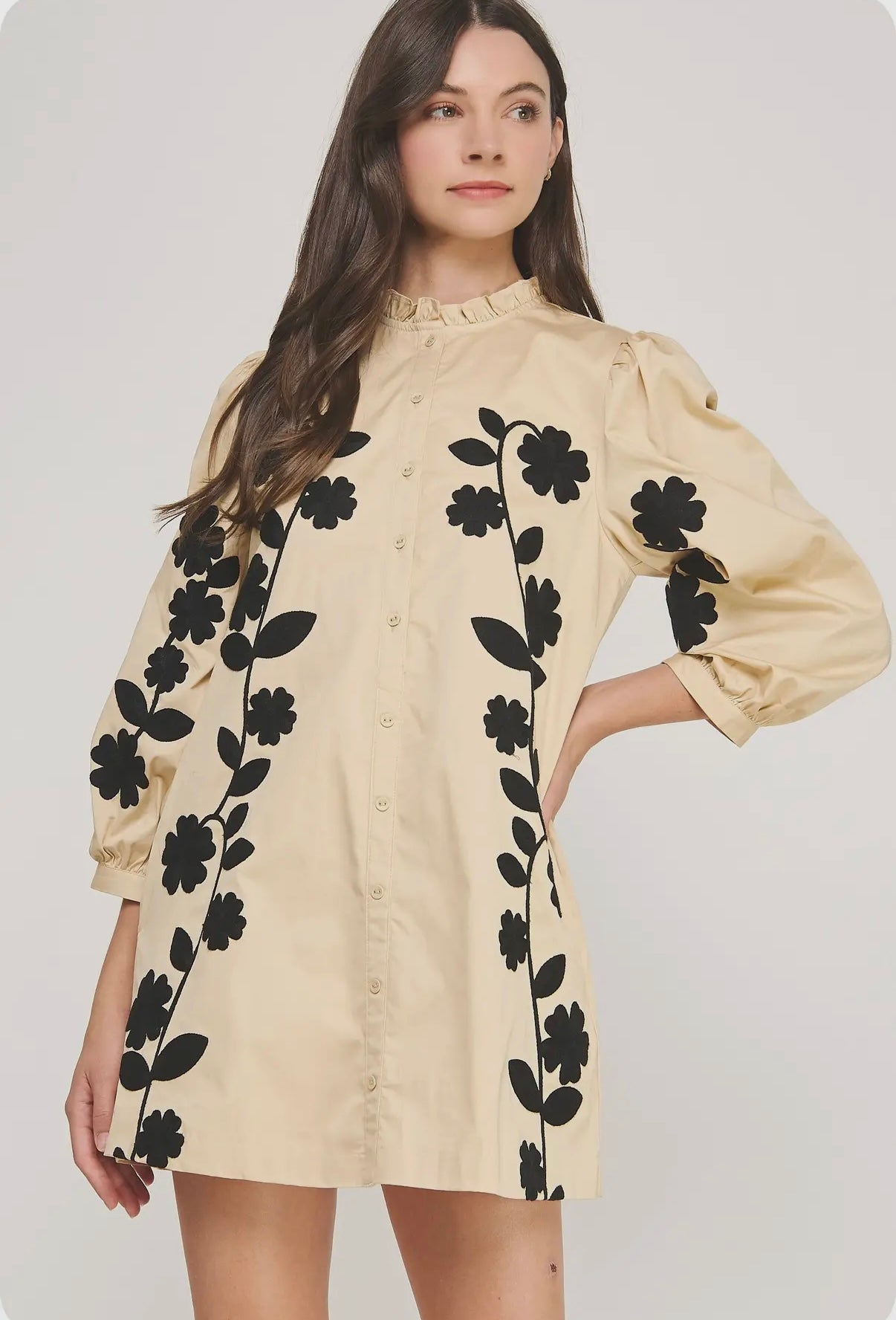 Floral Embroidered Dress
