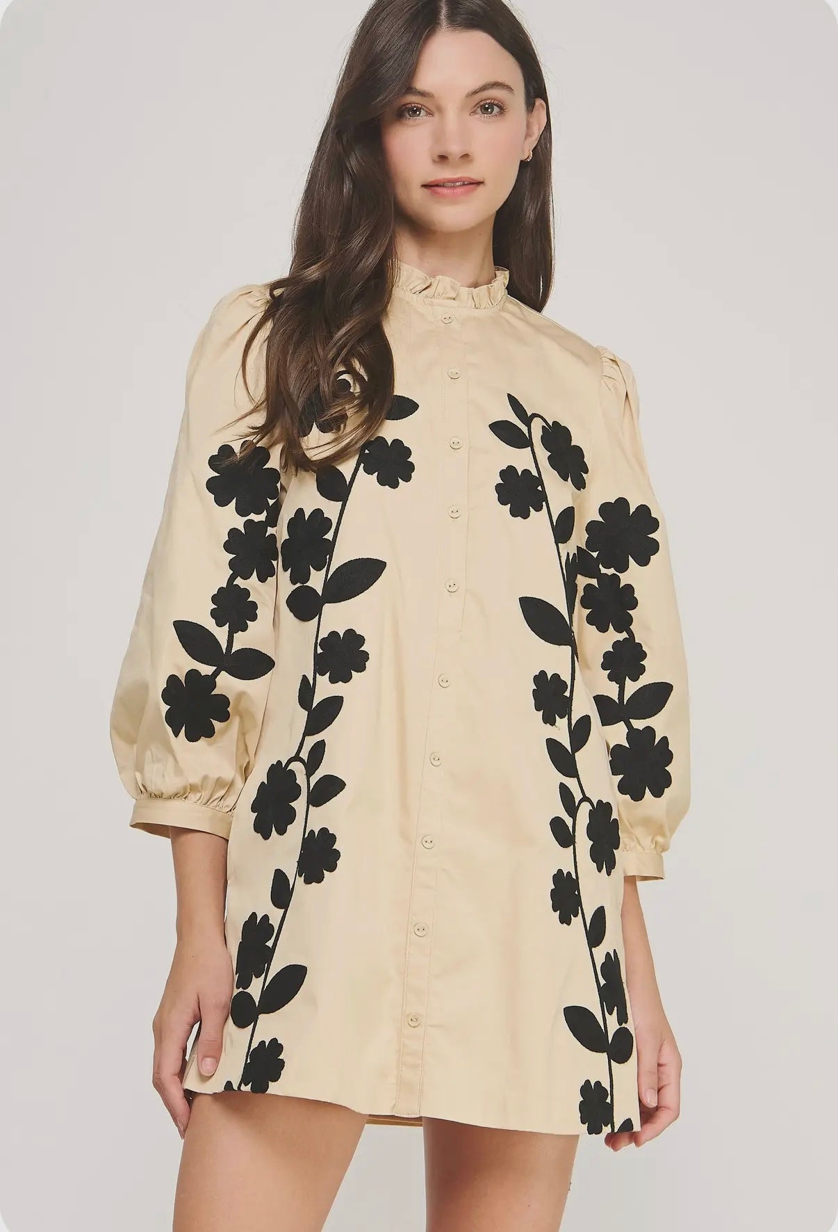 Floral Embroidered Dress