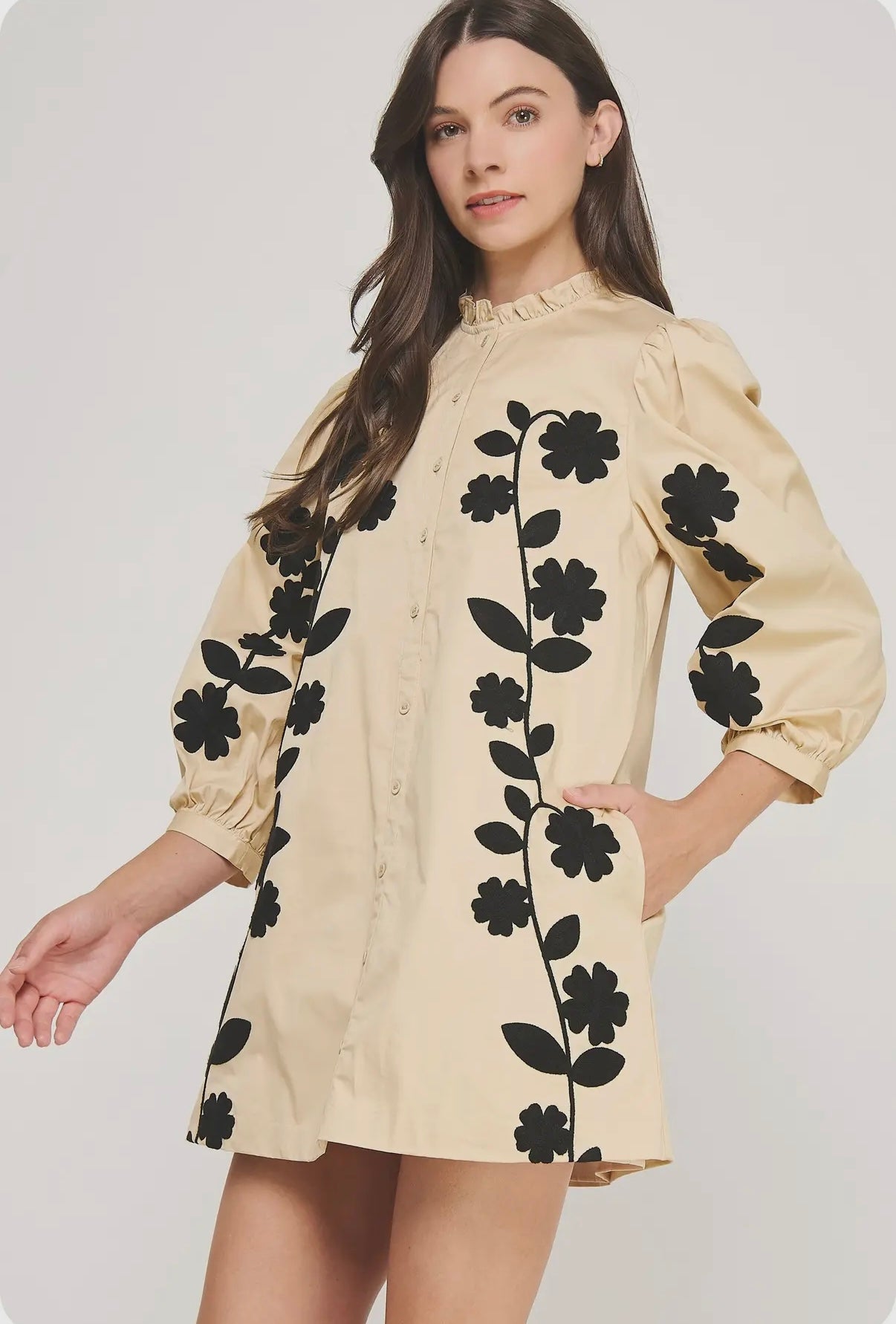 Floral Embroidered Dress