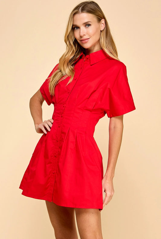 Button Up Collared Dress